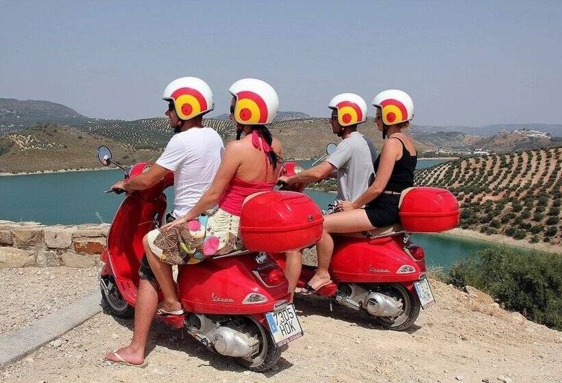 Casa Rural El Olivar B&b