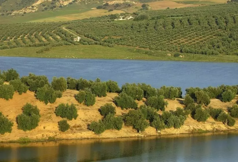 Casa Rural El Olivar B&b