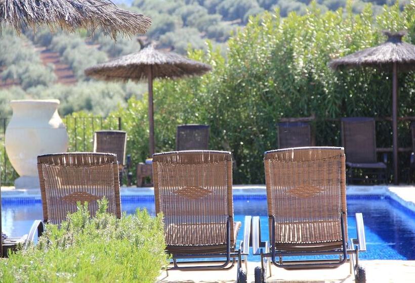 Casa Rural El Olivar B&b