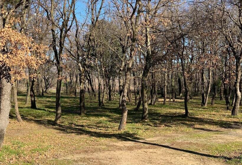 ホテル Le Mas Des Laurels