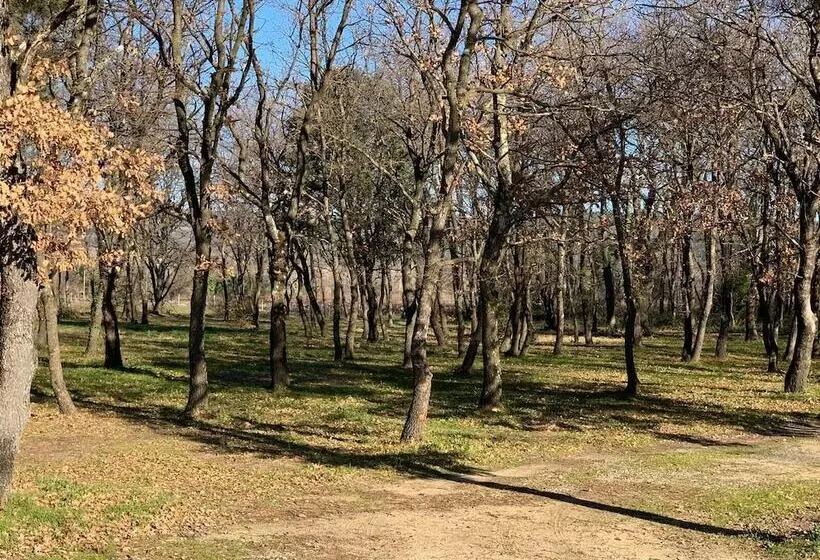 ホテル Le Mas Des Laurels