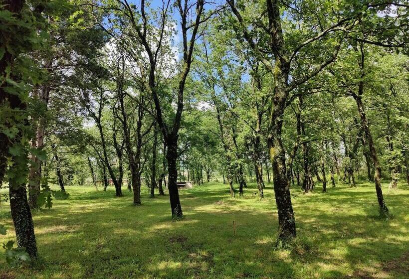 ホテル Le Mas Des Laurels