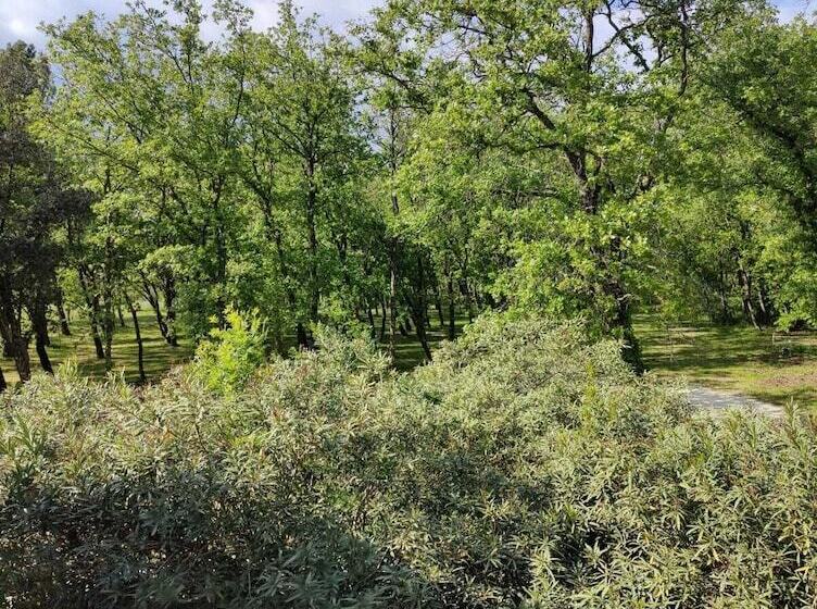 ホテル Le Mas Des Laurels