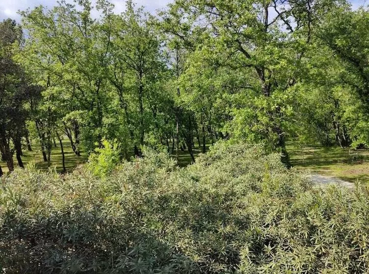 ホテル Le Mas Des Laurels