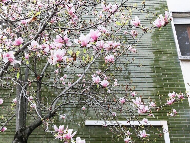 Bed and Breakfast Flytosuite Aeroporto Attico Mansarda