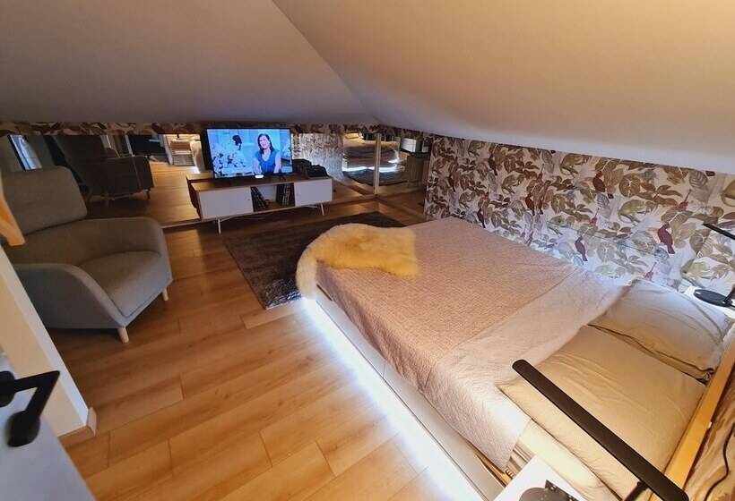 Bed and Breakfast Flytosuite Aeroporto Attico Mansarda