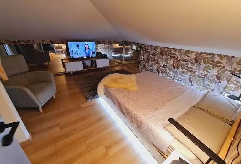 تختخواب و صبحانه Flytosuite Aeroporto Attico Mansarda