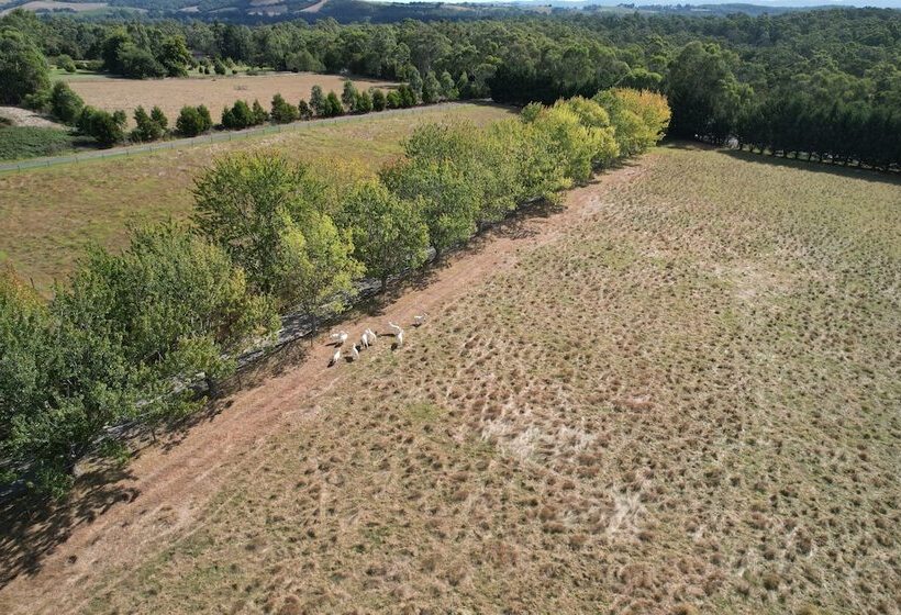 Stayau Lakeview Cottage 2br Cozy Nature