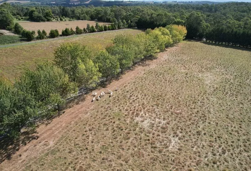 Stayau Lakeview Cottage 2br Cozy Nature