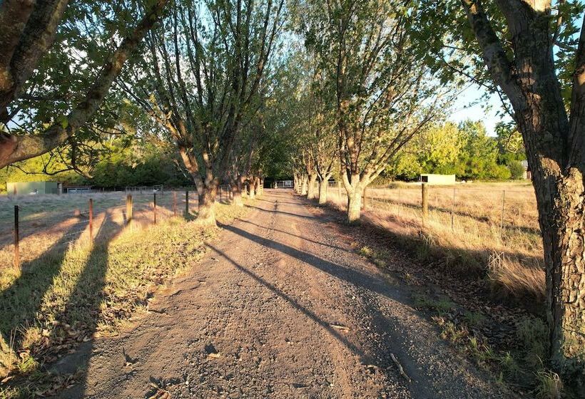 Stayau Lakeview Cottage 2br Cozy Nature