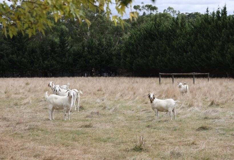 Stayau Lakeview Cottage 2br Cozy Nature