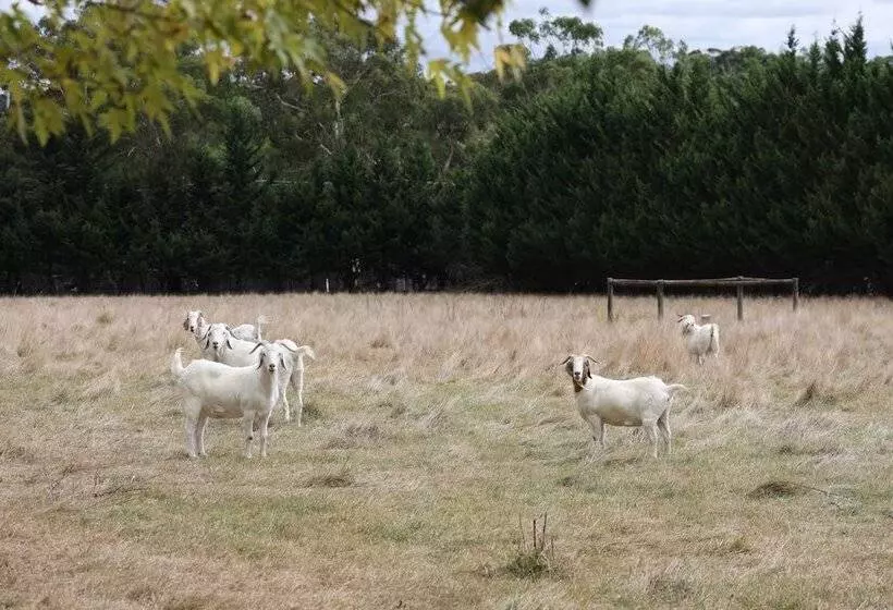 Stayau Lakeview Cottage 2br Cozy Nature