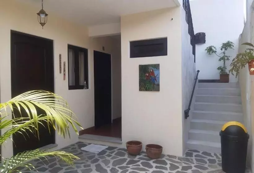 مسافرخانه Posada Maya