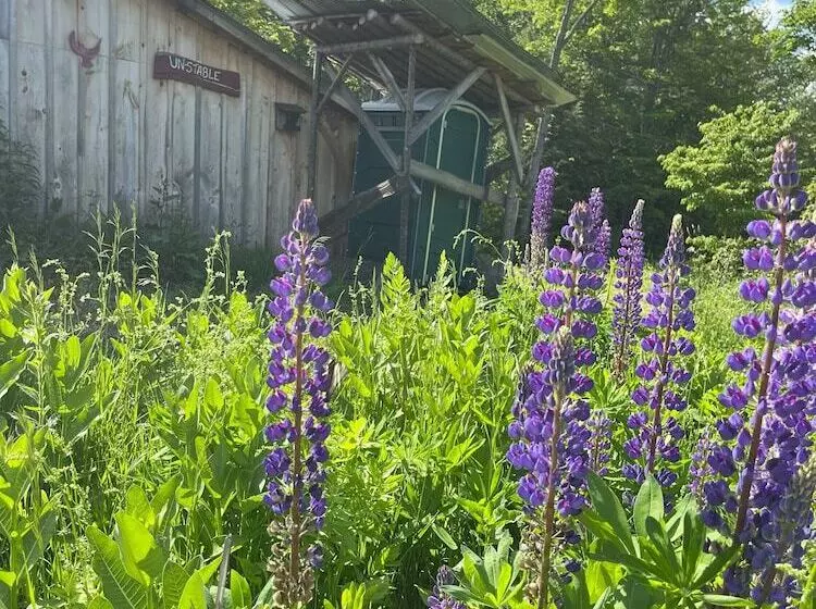 Maaseutuhotelli Streeter Mountain Farm
