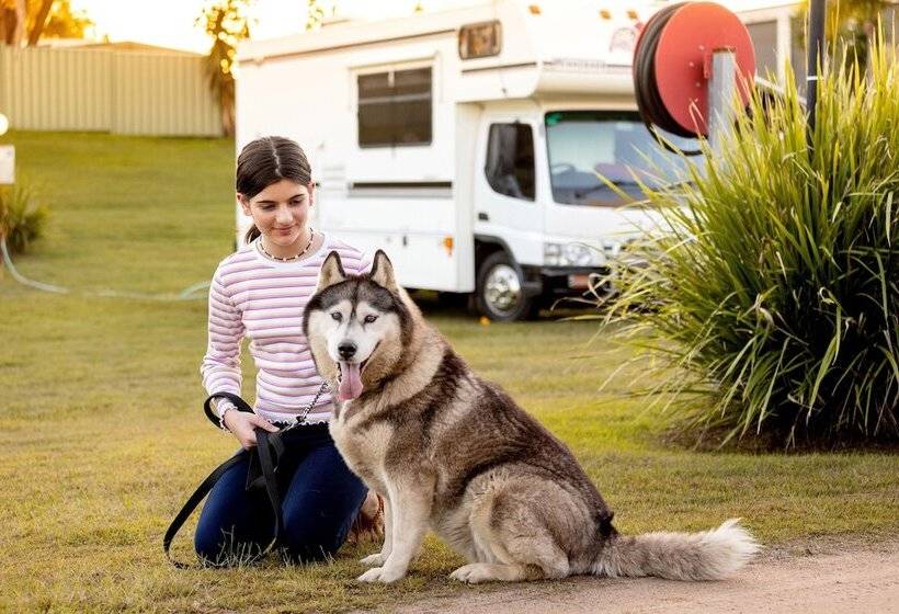 אתר נופש Big4 Big River Holiday Park