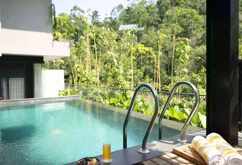 Hotelli Scenic, Munnar - Ihcl Seleqtions