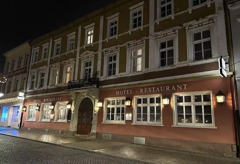 ホテル Sachsenhof Riesa