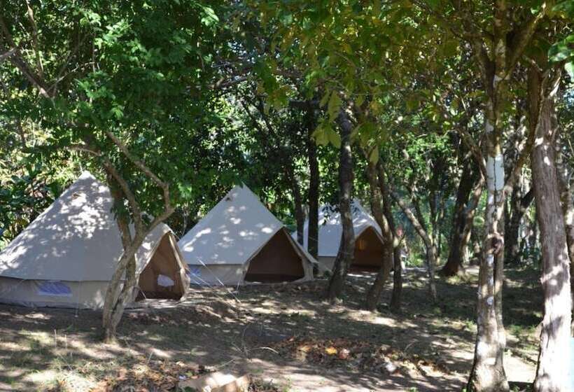 ユースホステル Howlers Bay