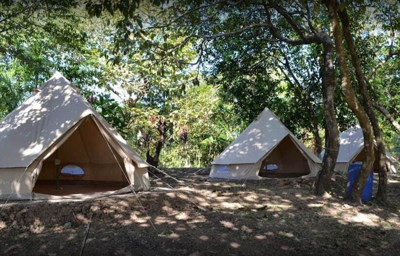 ユースホステル Howlers Bay