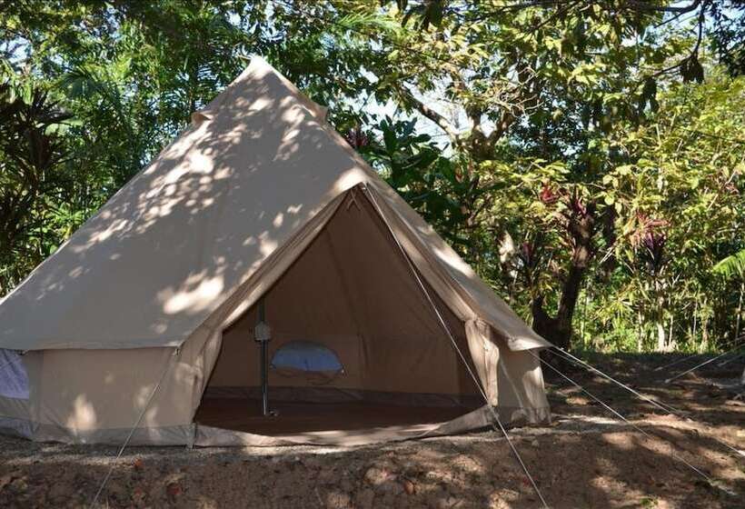 ユースホステル Howlers Bay