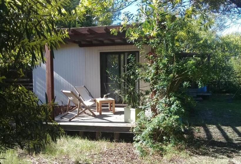 ベッドアンドブレックファースト La Maison Suites & Gastronomía