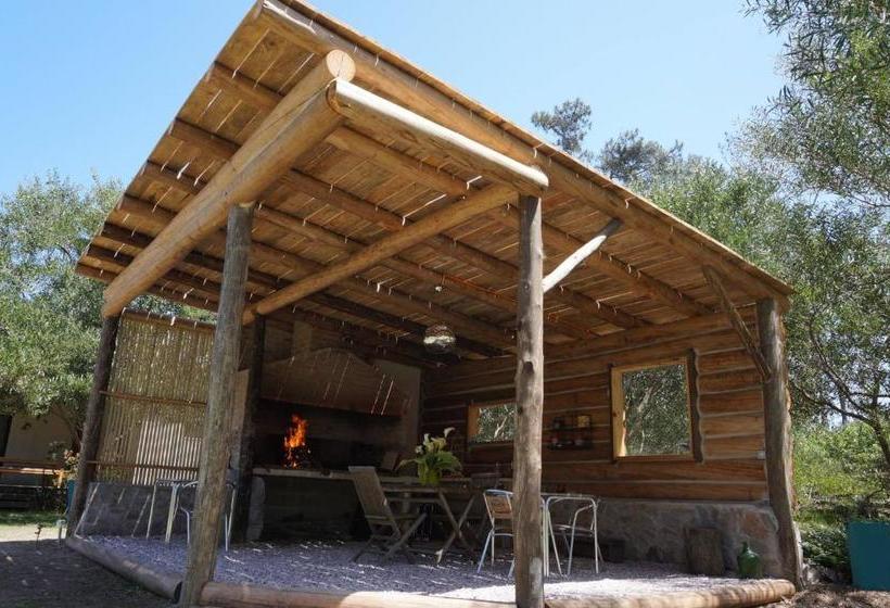 ベッドアンドブレックファースト La Maison Suites & Gastronomía