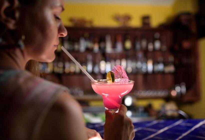 צימר Seagull Cove Resort