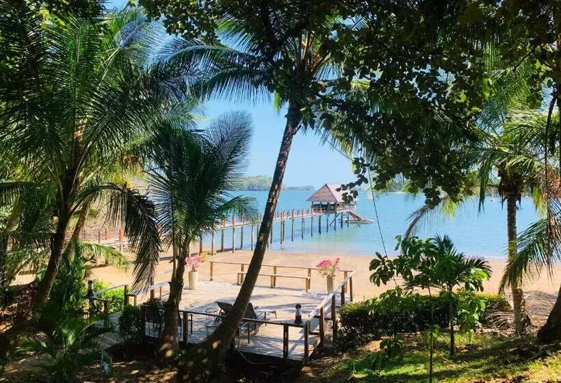 ベッドアンドブレックファースト Seagull Cove Resort