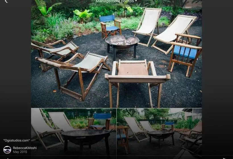 The Hibiscus Bed And Breakfast