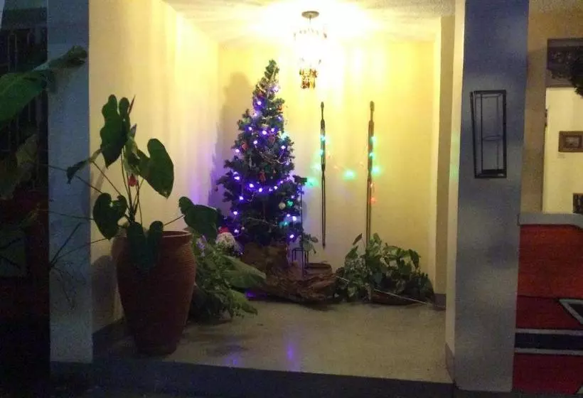 The Hibiscus Bed And Breakfast