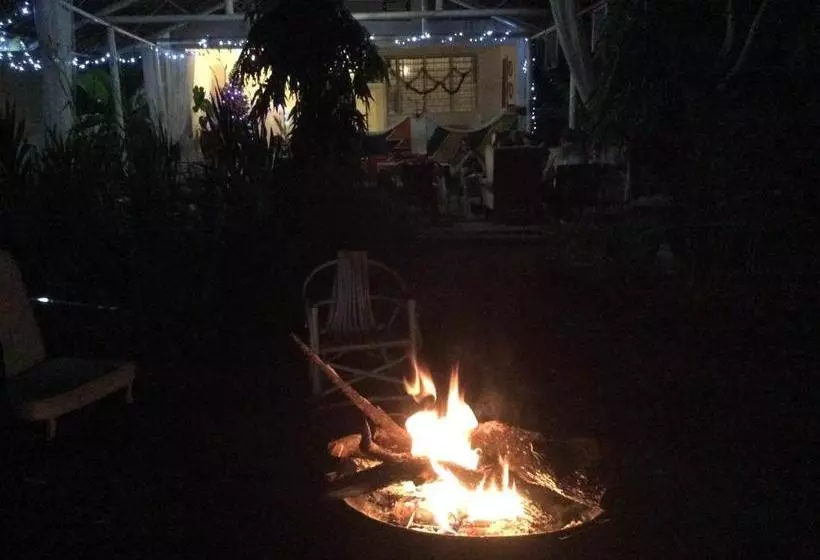 The Hibiscus Bed And Breakfast