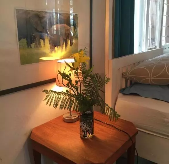 The Hibiscus Bed And Breakfast