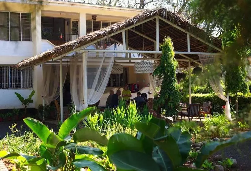 The Hibiscus Bed And Breakfast