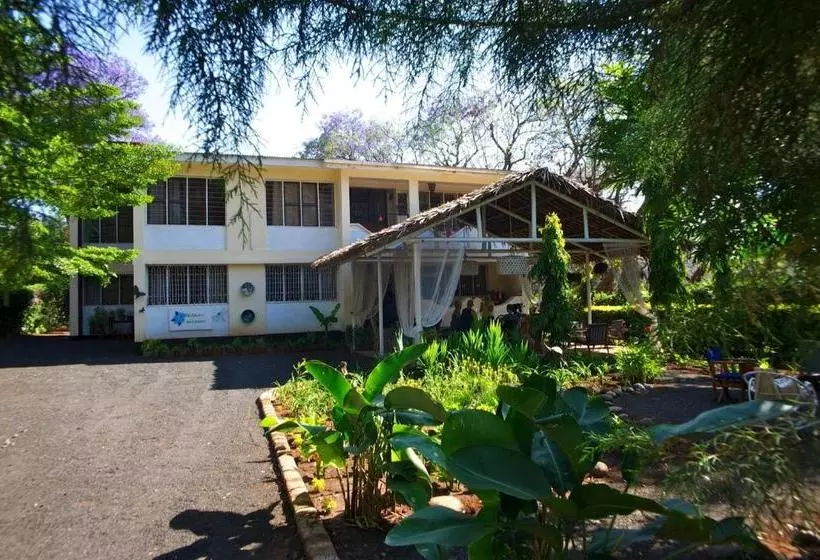 The Hibiscus Bed And Breakfast