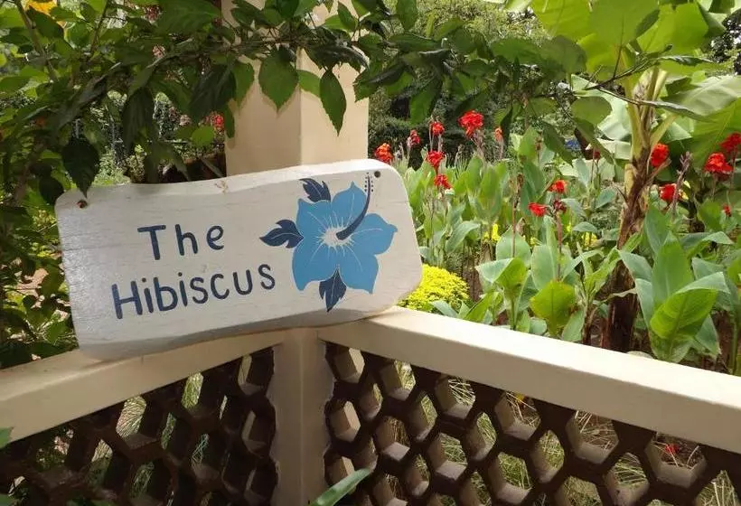 The Hibiscus Bed And Breakfast