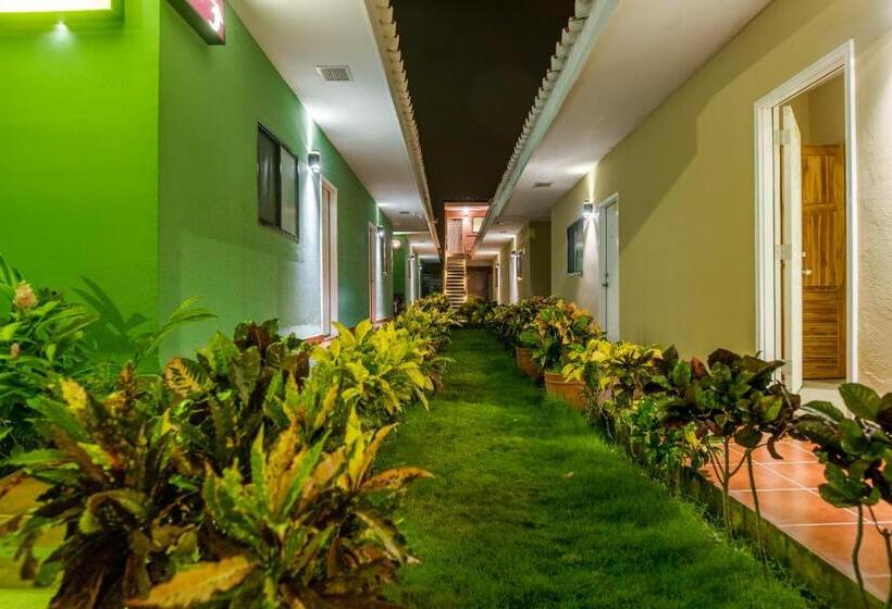 هتل Los Chilamates