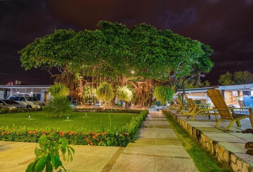 هتل Los Chilamates