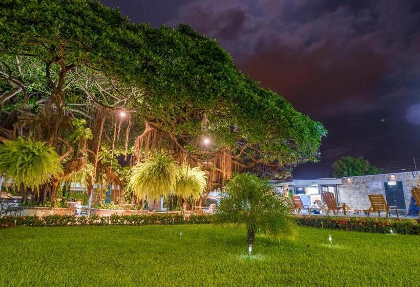 هتل Los Chilamates