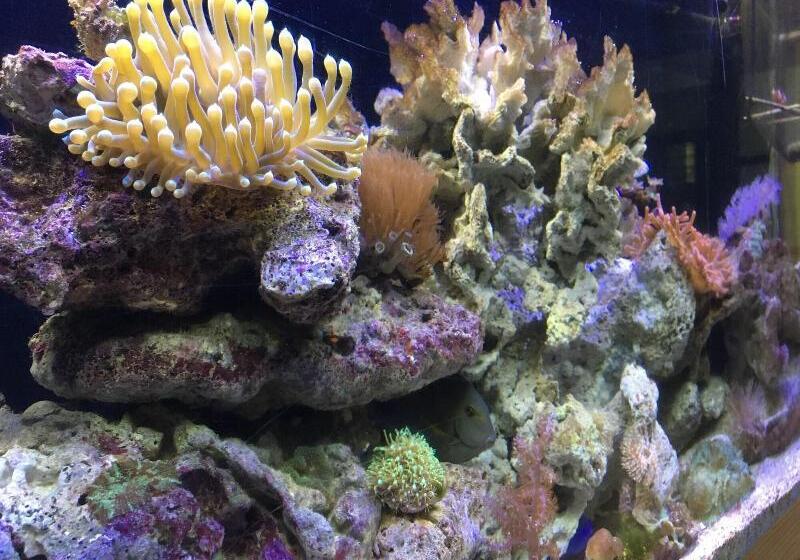 Panama House Bed & Breakfast