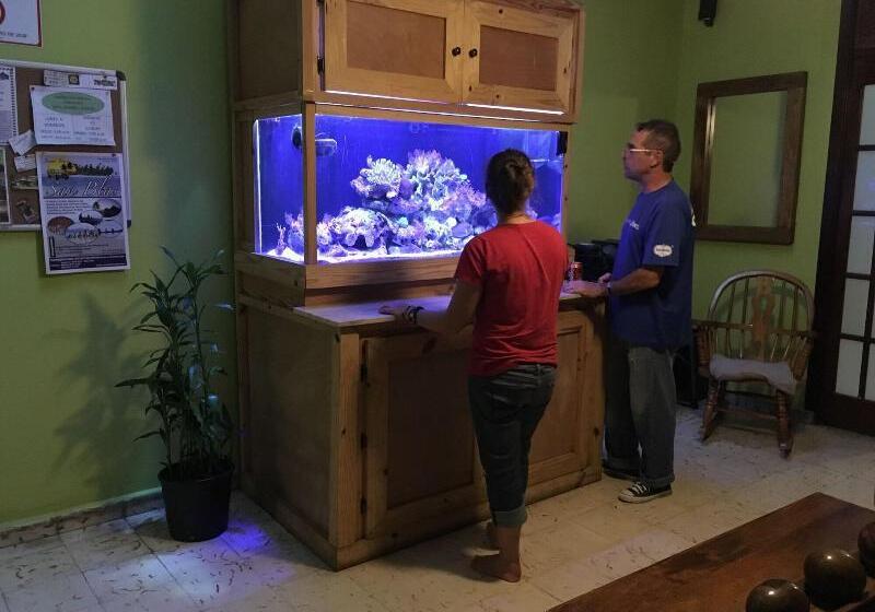 Panama House Bed & Breakfast