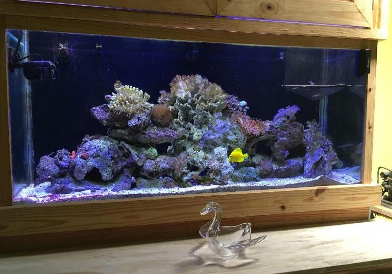 Panama House Bed & Breakfast