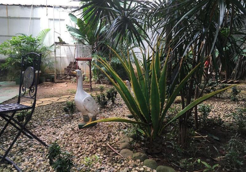 Panama House Bed & Breakfast