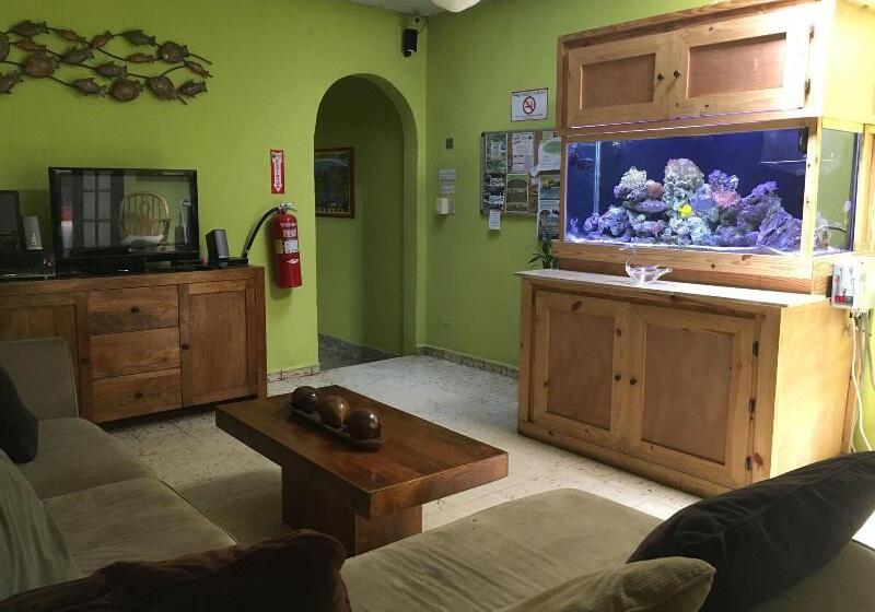 Panama House Bed & Breakfast