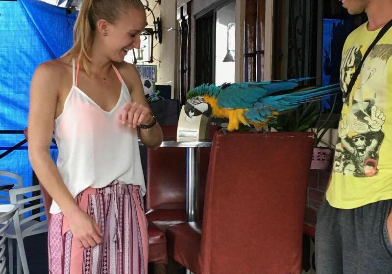 Panama House Bed & Breakfast