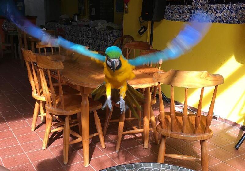 Panama House Bed & Breakfast