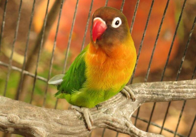 Panama House Bed & Breakfast