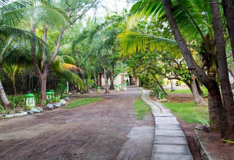 Sea Eye Hotel   Laguna Building