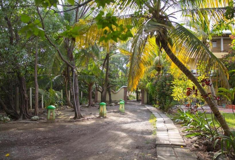 Sea Eye Hotel   Laguna Building