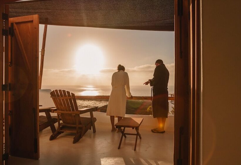 Отель The White Lodge