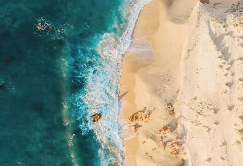 Hotelli The White Lodge